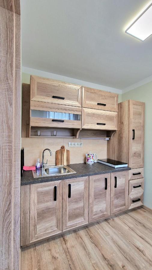Tepla Apartment Teplice Luaran gambar